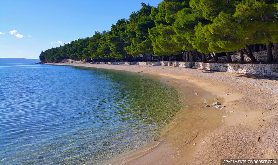 Živogošće Blato beach Dole
